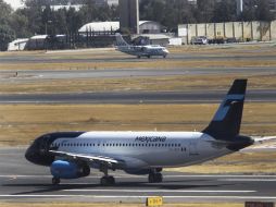 La aerolínea iniciará vuelos de  prueba. EL UNIVERSAL  /