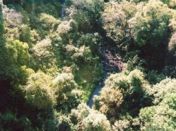 En la ladera Sur del volcán Colima, surge una maravillosa barranca, que por algún muerto, se le fue quedando el nombre.V.GARCÍA  /