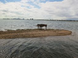 El piano de cola de color negro apareció en el banco de arena como por arte de magia esta semana. AFP  /