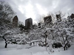 Una copiosa tormenta nocturna acompañada de una fuerte nevada deja a Nueva York bajo una gruesa capa blanca. AFP  /