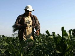 Se dará impulso al establecimiento del modelo de producción conocido como agroparque. ARCHIVO  /