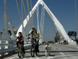 Algunos usuarios cargaron hasta con el perro, que también disfrutó del recién inaugurado puente atirantado. A. HINOJOSA  /