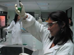 Es necesario transmitir el valor de descubrir a los niños y los jóvenes. ID  /