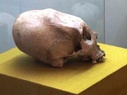 El alargamiento de la cavidad craneal era símbolo de nobleza y estirpe.P.FERNÁNDEZ  /