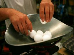 La producción de huevo en Jalisco supone al año 1.2 millones de toneladas. ARCHIVO  /