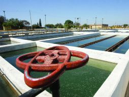 19 pozos bombean diario entre 16 y 20 litros por segundo. EL INFORMADOR  /