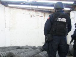 Elementos de la Policía Federal detuvieron en Tampico, Tamaulipas a los supuestos delincuentes. NTX  /