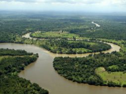 Imagen del sobrevuelo de una comisión de la Convención Mundial Sobre Humedales, que verificó el supuesto daño ecológico. EFE  /