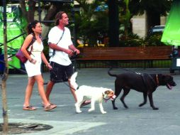 Esta ley también dará garantía a los compradores. ARCHIVO  /