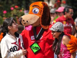 Decidir tener una mascota es una situación de análisis, en donde se deben considerar las necesidades de cada familia. EL UNIVERSAL  /