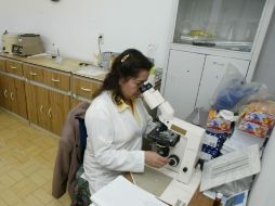 El capital se invertirá para mejorar la plataforma de investigación y desarrollo de Team. ARCHIVO  /