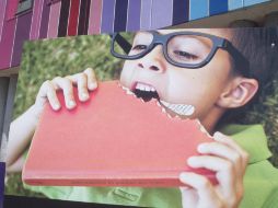 Una de las imágenes que integran la exposición que se encuentra en el Andador 5 de Febrero. O. GARCÍA  /