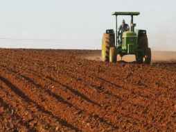 A nivel mundial hay 445.6 millones de hectáreas de tierra aptas para la expansión sostenible de cultivos. ARCHIVO  /