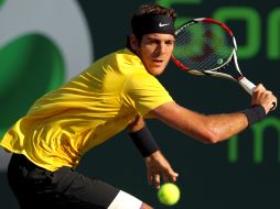 Juan Martín del Potro logró otro triunfo de élite en este año, tras derrotar ayer al cuarto del mundo, Robin Soderling. AFP  /