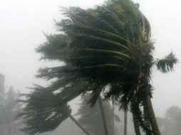 La próxima temporada de ciclones se espera igual o más intensa que en 2010. ESPECIAL  /