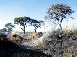 Desde que inició el año, y hasta el 24 de marzo, la Conafor ha cuantificado 105 incendios forestales en territorio jalisciense. ARCHIVO  /