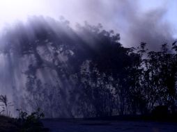 El incendio no afectó arbolado. A. HINOJOSA  /