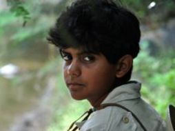 Imagen de la película 'Burros' de Odín Salazar que se promueve para los Golden Globe. ESPECIAL  /