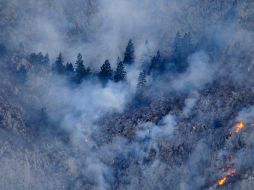 De las 38 mil 750 hectáreas afectadas por las llamas, 22 mil 10 son de pastizales y 12 mil 640 de matorrales. REUTERS  /