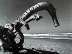 La historia es el nexo que une las facetas de escritor y de fotógrafo del artista. EL UNIVERSAL  /