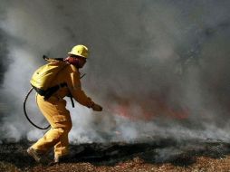 La conflagración se centra en áreas de pastizal y no de arbolado. ARCHIVO  /