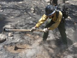 Un elemento de Protección Civil lucha contra el fuego. ARCHIVO  /