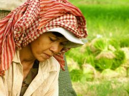 Señalan que jornaleros de Sinaloa y Sonora se encuentran desempleados y situación precaria. ARCHIVO  /