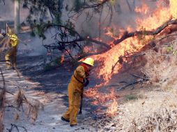 El incendio de ayer en el Bosque de La Primavera, es el más grande que se ha registrado este año. A. GARCÍA  /