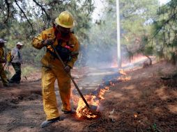Las llamas iniciaron a consecuencia de una colilla de cigarro que fue lanzada desde un auto en movimiento. A. GARCÍA  /