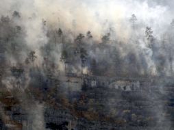 Los municipios de Acuña, Arteaga, Muzquiz y Ocampo son los más afectados. EL UNIVERSAL  /