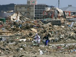 Los científicos consideran que su estudio puede contribuir a estudiar las efectos del movimiento de las placas tectónicas. EFE  /