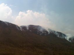 Estiman que las labores para sofocarlos podrían llevar hasta 18 días. AFP  /