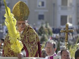 El Papa Benedicto XVI preside la procesión de las palmas en la plaza de San Pedro. EFE  /