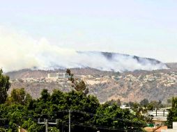 La conflagración sí provoca afectaciones al área de protección de flora y fauna del pulmón metropolitano. E. PACHECO  /