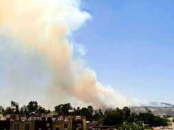 El incendio sí generó afectaciones al área de protección de flora y fauna del bosque. A. HINOJOSA  /