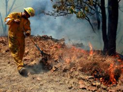Justo a las 18:00 horas se controló el incendio que, este mediodía, comenzó en el Bosque La Primavera. A. HINOJOSA  /