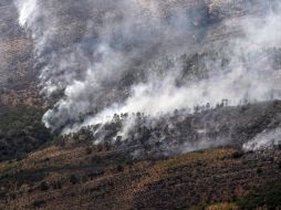El fuego ha consumido 193 mil hectáreas en Coahuila. EFE  /