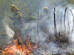 Los brigadistas de la Semarnat y de la Conafor, entre otras dependencias participan en el combate del fuego. ARCHIVO  /