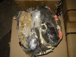 Los paquetes estaban hechos con yeso, espuma cristalizada y papel calca. ESPECIAL  /