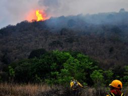 Otra aeronave con capacidad para esparcir 35 mil litros de agua con retardantes químicos, apoyará en Coahuila. EFE  /