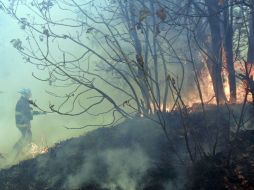 Hasta el momento, los trabajos para controlar el siniestro siguen realizándose. ARCHIVO  /