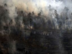 Elementos de las direcciones de Protección Civil estatales y las municipales luchan por apagar los fuertes incendios. ARCHIVO  /