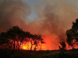 En lo que va del año se han registrado 28 incendios en el Bosque La Primavera. E. PACHECO  /