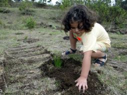 En los talleres que se ofrecerán, los niños aprenderán acerca de la restauración de los ecosistemas y prevención de incendios. ARCHIVO  /