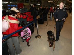 Gracias a las tareas de inspección del binomio canino de la Policía Federal se pudo detectar la sustancia ilícita. ARCHIVO  /