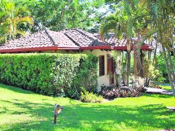 Guanacaste, Costa Rica, paisaje siempre verde. R. GODÍNEZ  /