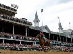 El potro 'Animal Kingdom' se llevó el Derby de Kentucky. AFP  /