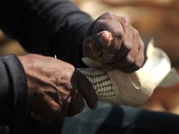 Recomiendan procesar el producto de cultivos para que produzca. ARCHIVO  /