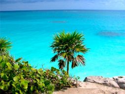 El Tren Rápido Peninsular conectará Mérida con Playa del Carmen y Cozumel. ESPECIAL  /