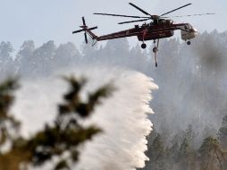 La Semarnat y Conafor iniciarán en próximos días evaluación de daños en zonas afectadas. EFE  /